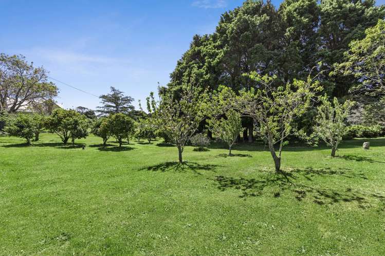 Lot 2/987 Takaka Valley Highway Uruwhenua_19