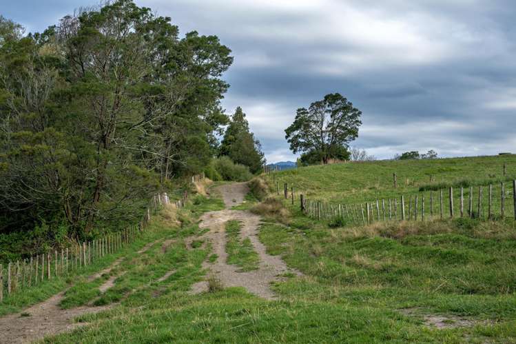 2140 State Highway 2, Nukuhou North Whakatane_9