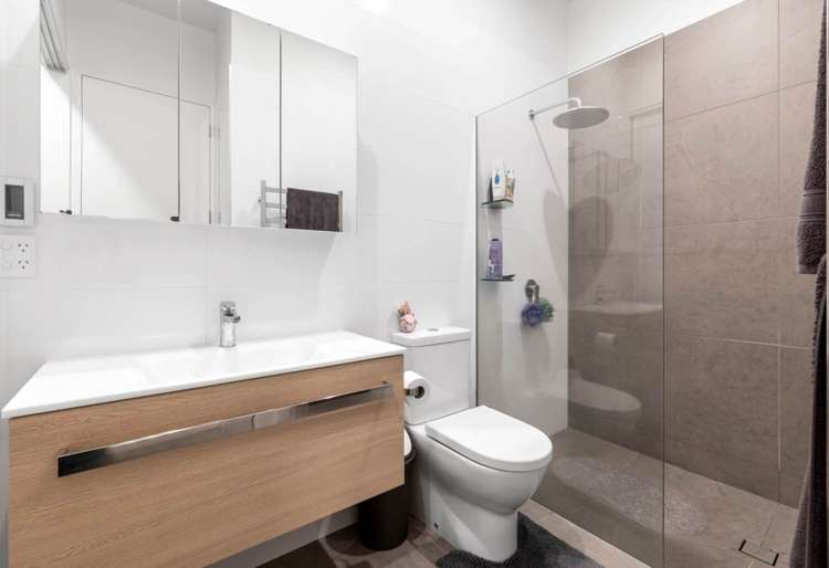 377 Murphys Road Flat Bush_3