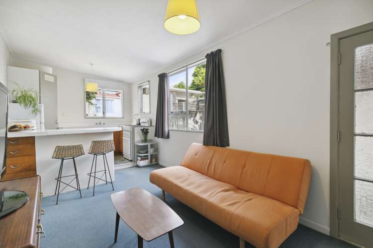 66 Elizabeth Street Mount Victoria_10