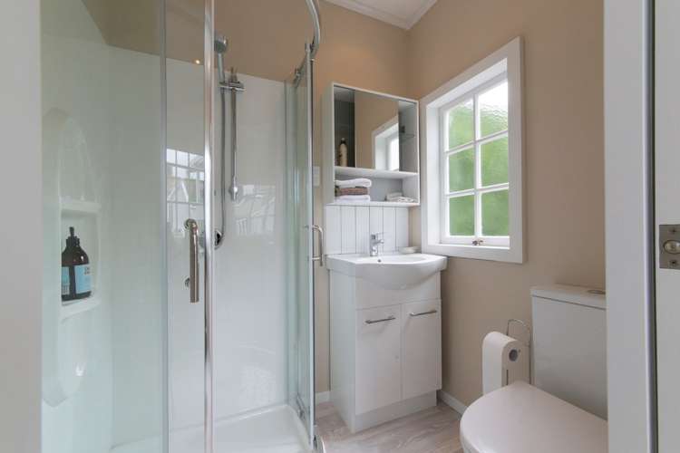 82 Astley Avenue New Lynn_14