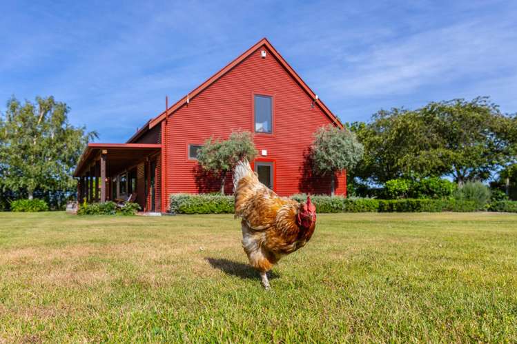 92 Pauls Road Rapaura_17