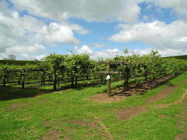 124 Bowman Road Te Awamutu_6