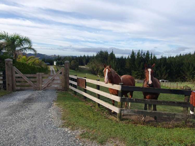 228 Martin Access Road Makarau_15