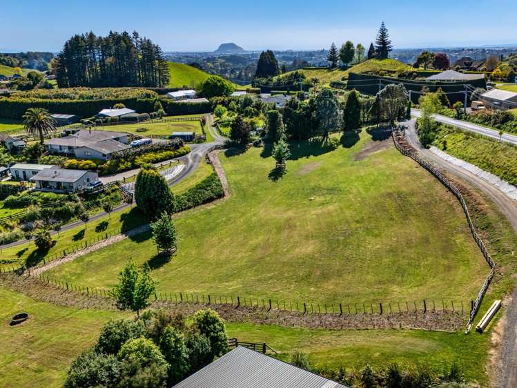 182a Crawford Road Te Puna_14