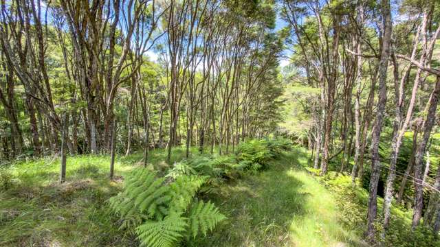 551 Kaiaua Road Kaiaua_4