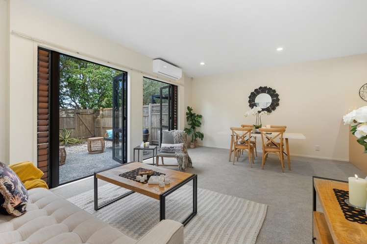 11/11 The Avenue Albany_5