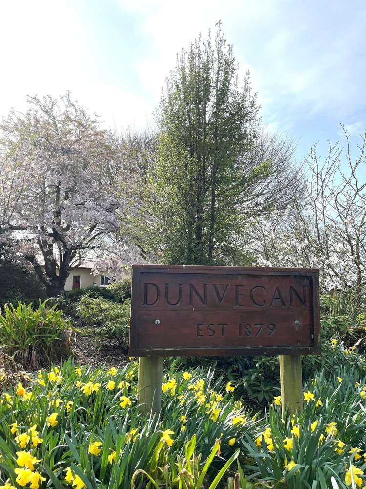 986 Argyle Otahuti Road Winton Surrounds_13