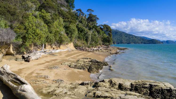 650 Kenepuru Road Mahau Sound_34
