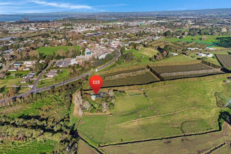 115 State highway 2 Katikati_26