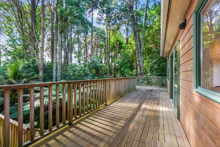 42 Collie Street Hillpark_8