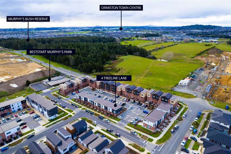 4 Treeline Lane Flat Bush_21