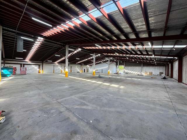 11 McDonald Street Morningside_2