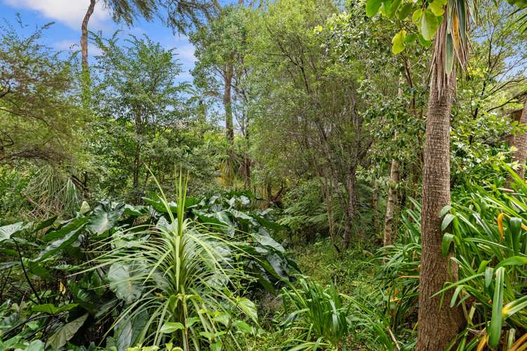 120 Percy Street Warkworth_21