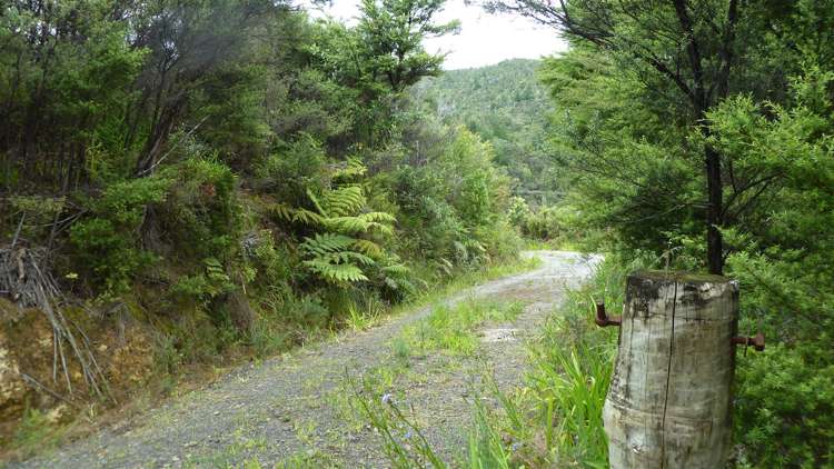 45 Otuturu Crescent Thames_17