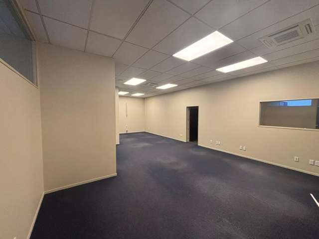 81 Austin Street Onekawa_2