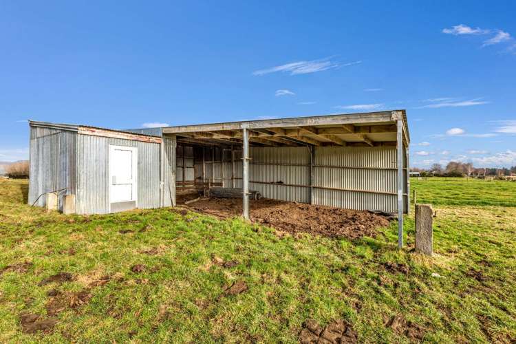 121 Mcbain Road Gore Surrounds_22