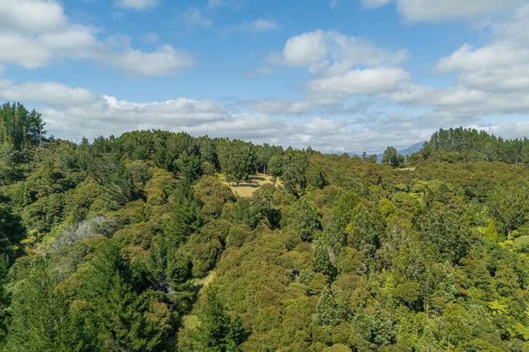 184 Hikuai Settlement Road Hikuai_12