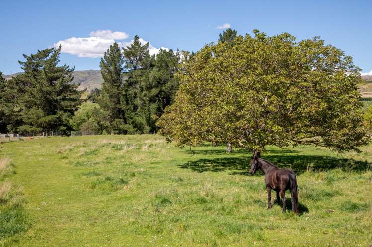 3441 Fruitlands-Roxburgh Road Roxburgh_31