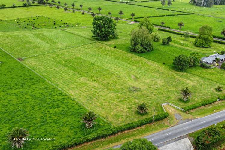 164 Lee Martin Road Tamahere_15