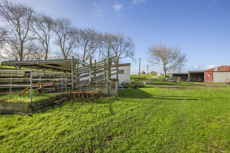 168 Okahukura Road Tapora_17