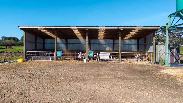 886 Kakariki Road Eketahuna_8