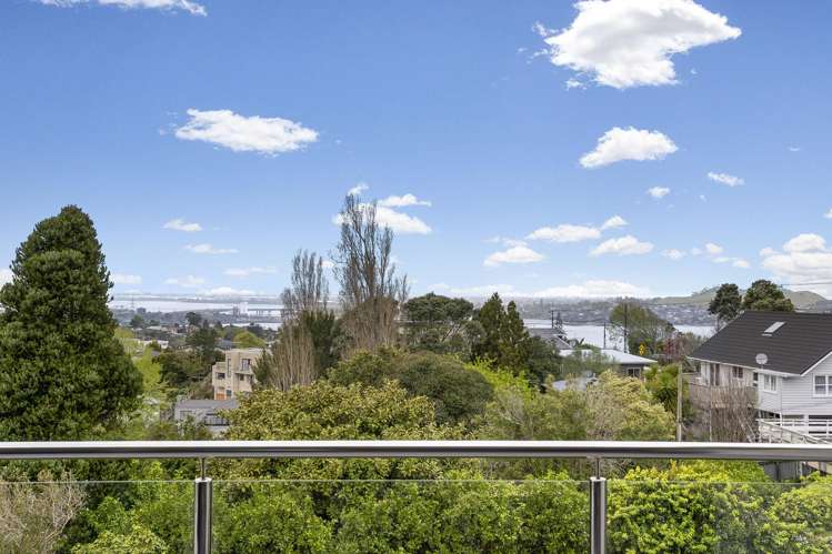 40 Carlton Street Hillsborough_12