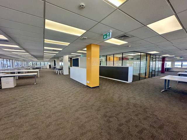 1 Nugent Street Grafton_1