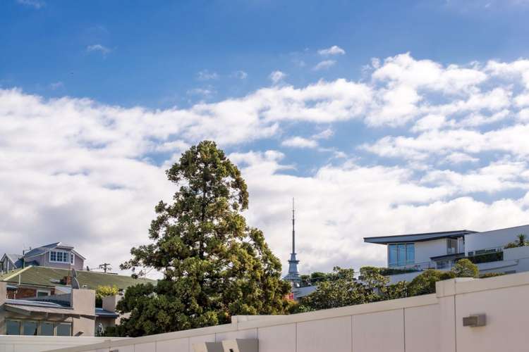 6e/8 Farnham Street Parnell_10