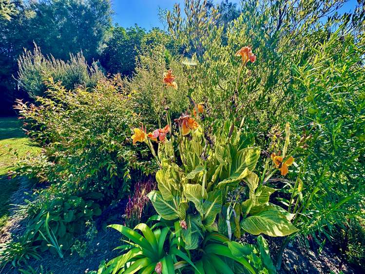 3 Granny Tarr Street Makaraka_13