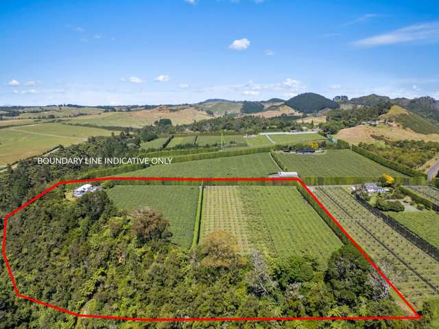 809b No 3 Road Te Puke_1