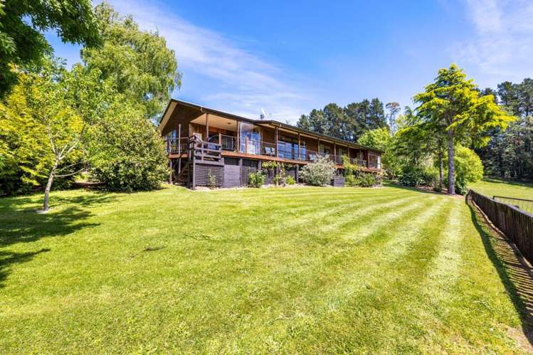 21 Deer Park Road Cheviot_3