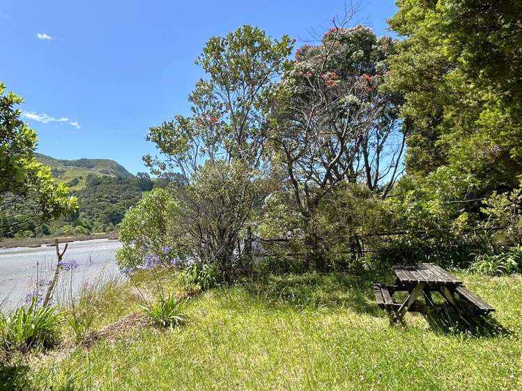 56 Totara Avenue Collingwood_21