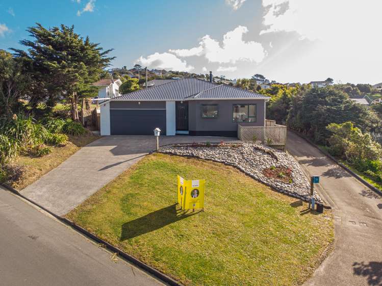 13 Hawtrey Terrace Johnsonville_19