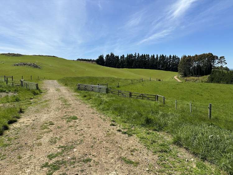 279 Cameron Road Waipahi_24