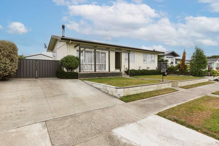 23 Plunket Street Tamatea_19