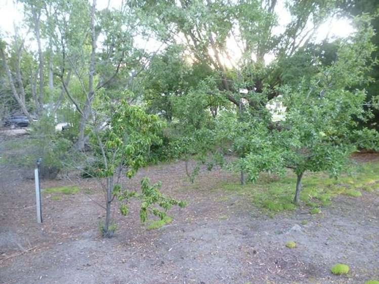 24 The Half Mile Alexandra_25