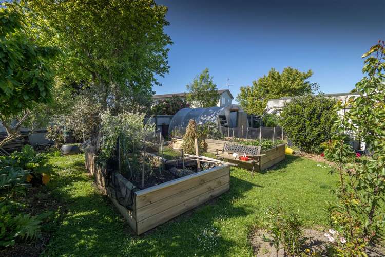 42 Bathurst Street Allenton_15