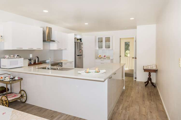 1 Bush View Lane Northcote Point_9