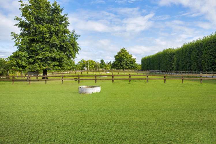 36 Bell Road Matawhero_5