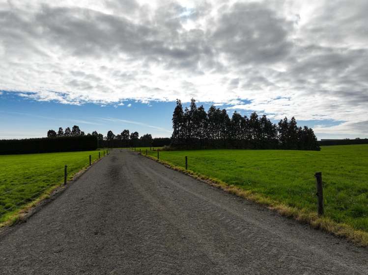 318 Waipango Ermedale Road Gummies Bush_5