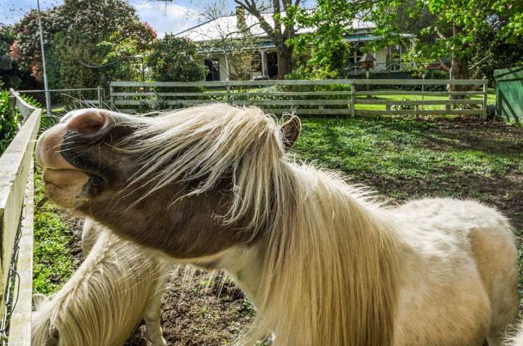 19 Awaroa Landing Road Whangape_20
