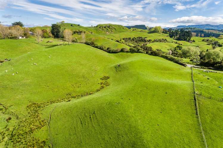 Glengarry Road Hastings Country_17