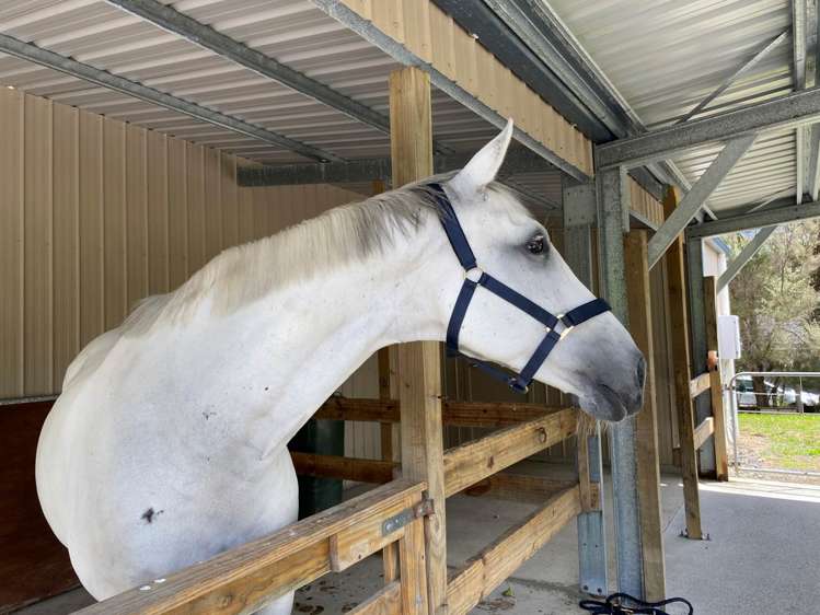 208 Glenmore Road Coatesville_33