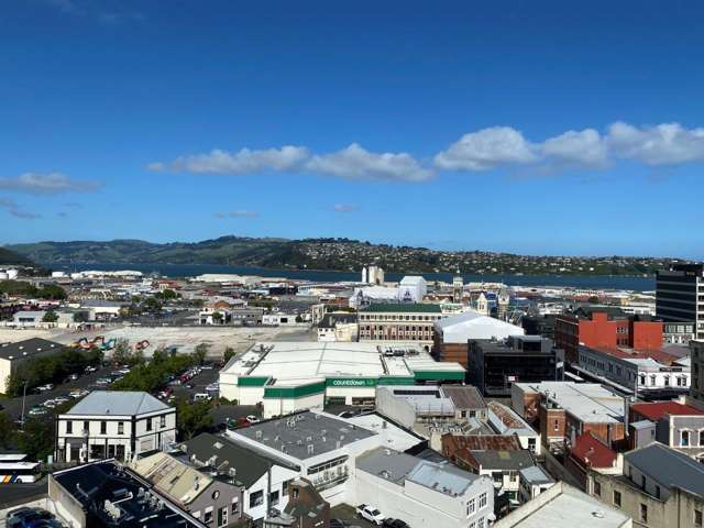 10 George Street City Centre Dunedin_1
