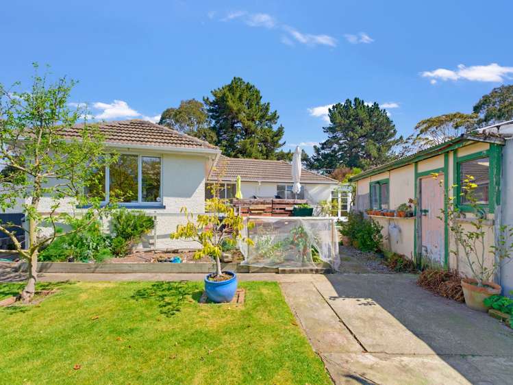 154 Mcgregors Road Linwood_27