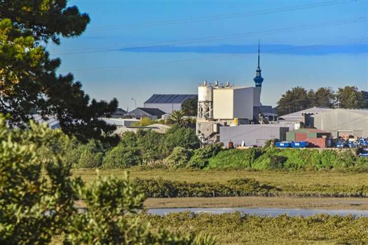 1/13 Bedford Street Te Atatu South_20