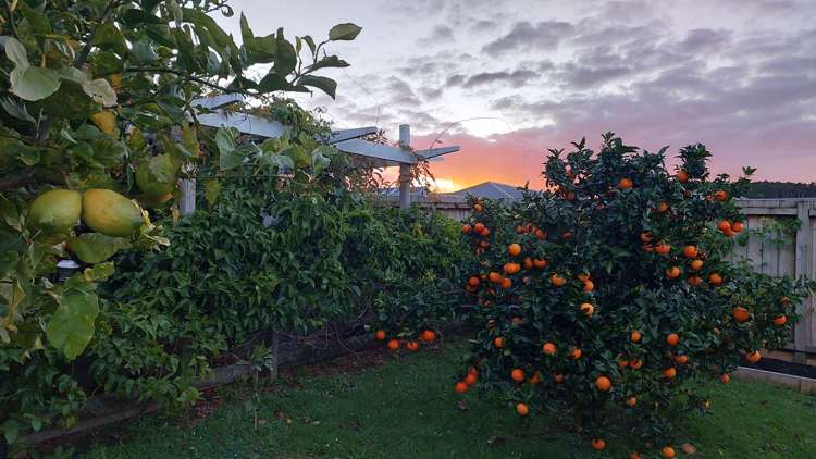 82 Corks Road Tikipunga_19