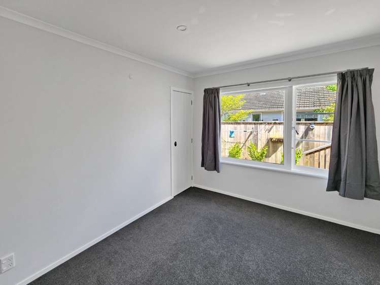 B/42 Karaka Street 10629_10