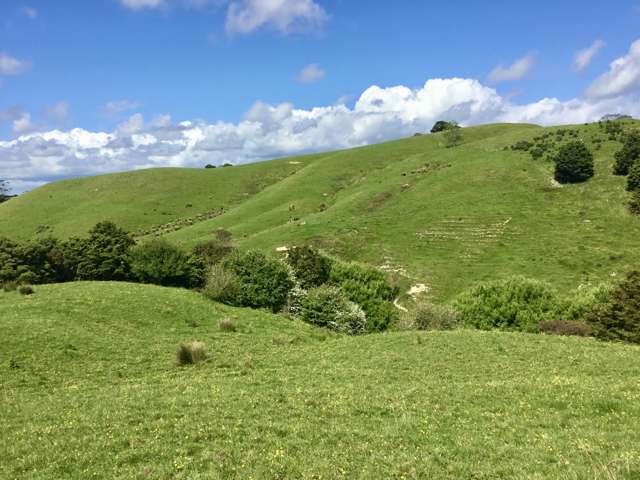 Lot 1 Wharehine Road Wellsford_3